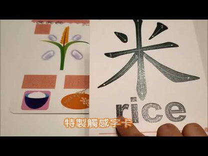 Tarjetas didácticas táctiles de imágenes para todo el cerebro (chino e inglés): Palabras 1–150 [Set 1]